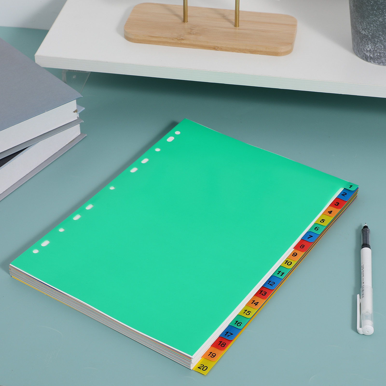 20 Pages A4 Colorful Plastic T - Tab Divider A4 review and price